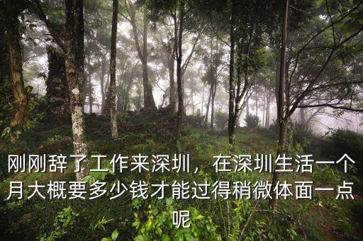 剛剛辭了工作來深圳，在深圳生活一個月大概要多少錢才能過得稍微體面一點呢