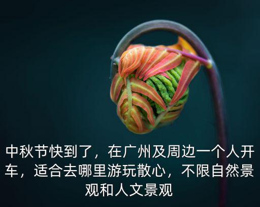 廣州中秋節適合去哪里旅游,中秋節快到了