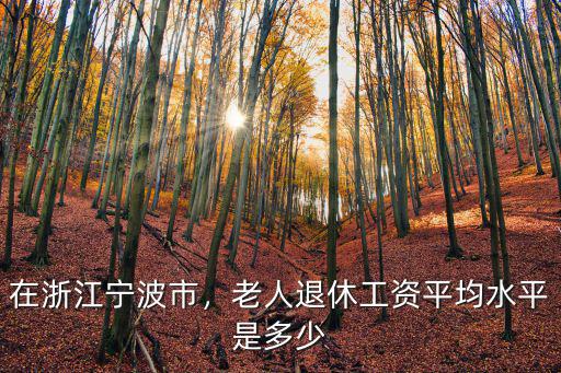 在浙江寧波市，老人退休工資平均水平是多少