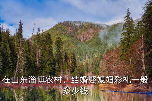 在山東淄博農村，結婚娶媳婦彩禮一般多少錢