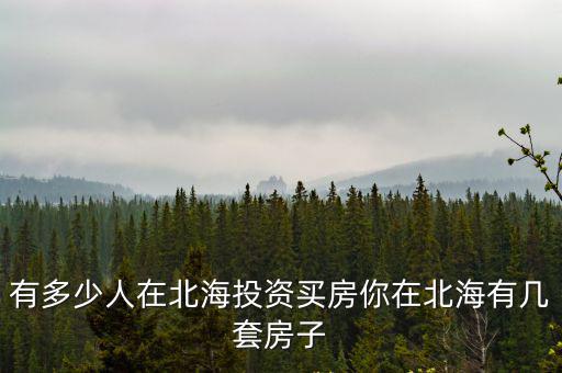 菏澤人在北海有多少,有在北海買房的人嗎