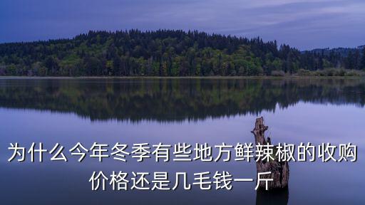 為什么今年冬季有些地方鮮辣椒的收購價格還是幾毛錢一斤