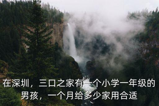 在深圳，三口之家有一個小學一年級的男孩，一個月給多少家用合適
