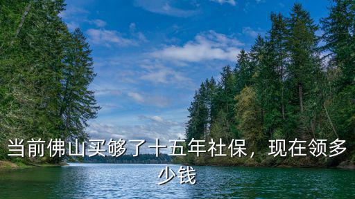 廣東佛山退休社保能領多少工資,在廣東佛山工廠買的社保