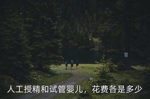 寧波人工試管嬰兒多少錢,人工授精和試管嬰兒