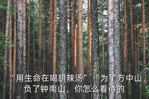 “用生命在喝胡辣湯”“為了方中山，負(fù)了鐘南山，你怎么看待的