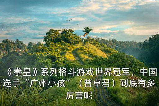 廣州哪里有小孩學拳擊,中國選手廣州小孩