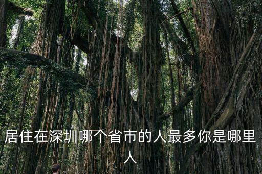 居住在深圳哪個省市的人最多你是哪里人