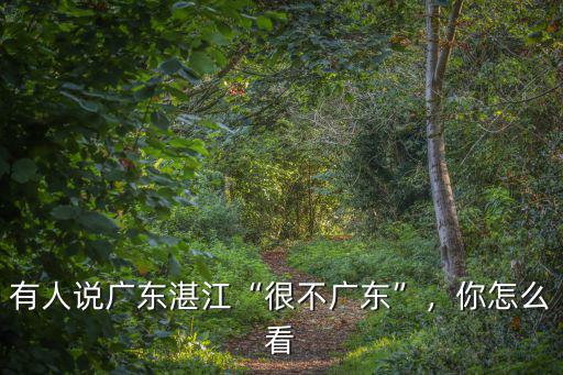 有人說廣東湛江“很不廣東”，你怎么看