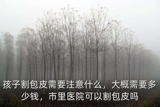 威海割包皮大約需要多少錢,割包皮總共多少錢