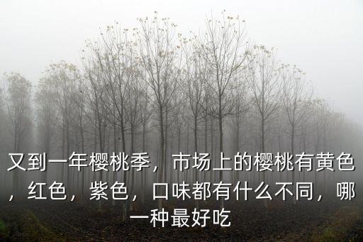 又到一年櫻桃季，市場上的櫻桃有黃色，紅色，紫色，口味都有什么不同，哪一種最好吃