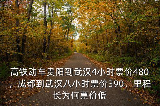 杭州到成都鐵路有多少隧道,成都到武漢八小時票價390