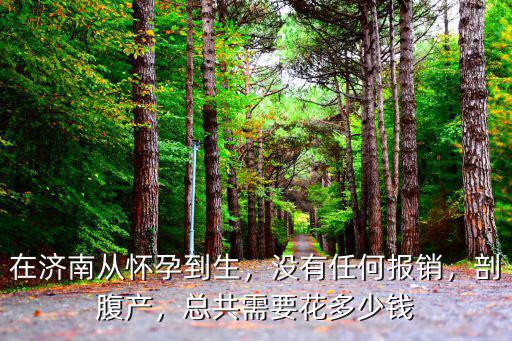 在濟南從懷孕到生，沒有任何報銷，剖腹產(chǎn)，總共需要花多少錢