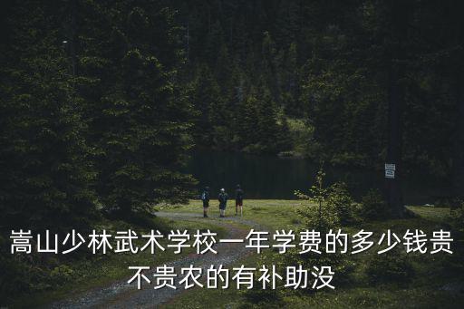 嵩山少林武術學校一年學費的多少錢貴不貴農的有補助沒