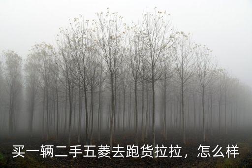 怎么在廣州買二手面包車跑貨拉拉,買一輛二手五菱去跑貨拉拉