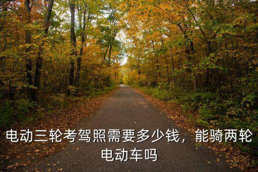 電動三輪考駕照需要多少錢，能騎兩輪電動車嗎