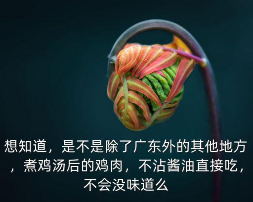 廣東人煮雞湯怎么煮,煮雞湯后的雞肉