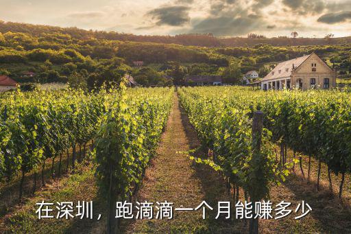 在深圳跑業(yè)務(wù)一個(gè)月有多少錢,跑滴滴一個(gè)月能賺多少