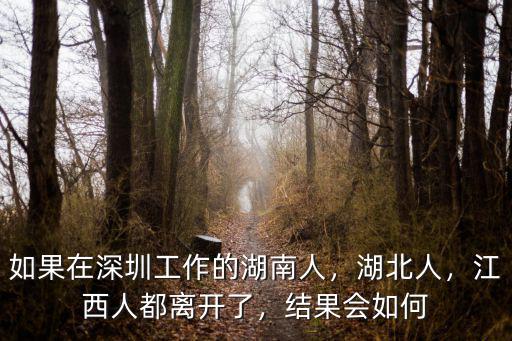 湖北省在深圳有多少人口,哪個省份的人在深圳最多