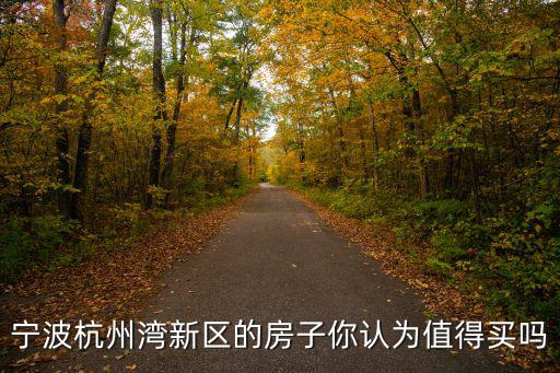 寧波杭州灣新區的房子你認為值得買嗎