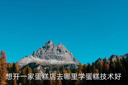 廣州哪里做蛋糕學(xué)徒好,學(xué)做蛋糕哪里好