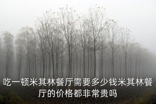 青島米其林餐廳多少錢一人,吃一頓米其林餐廳需要多少錢