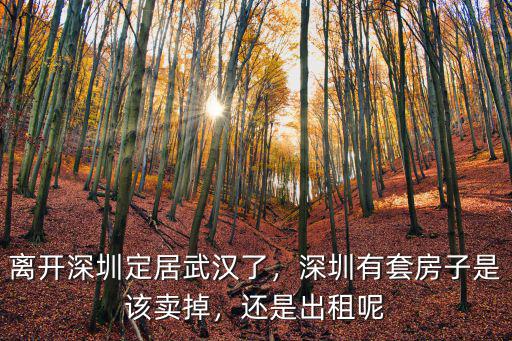 離開深圳定居武漢了，深圳有套房子是該賣掉，還是出租呢
