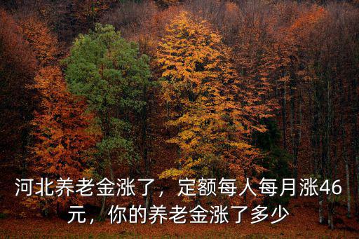 惠州養老金每人每月多少錢,定額每人每月漲46元