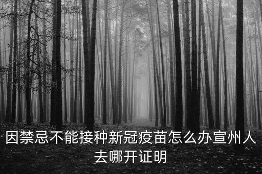 在東莞不能打疫苗的去哪里開證明,宣州人去哪開證明