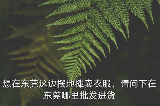 想在東莞這邊擺地攤賣衣服，請問下在東莞哪里批發進貨