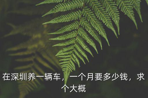 永城到深圳多少錢一個月,在深圳養一輛車