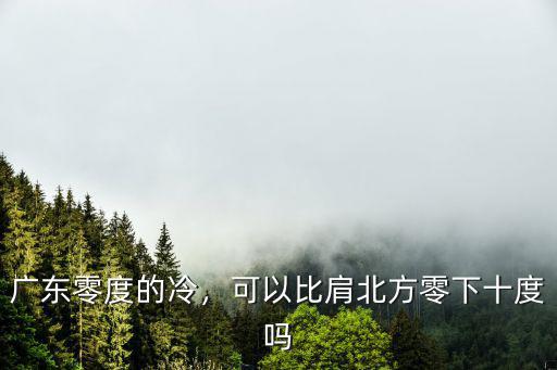 廣東冬天多少度冷,為什么廣東的冬天感覺比較冷