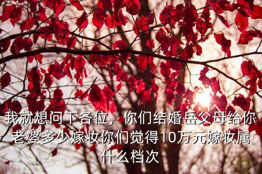 我就想問下各位，你們結婚岳父母給你老婆多少嫁妝你們覺得10萬元嫁妝屬什么檔次