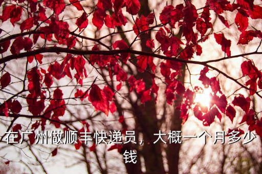 順豐廣州到大理要多少錢,在廣州做順豐快遞員
