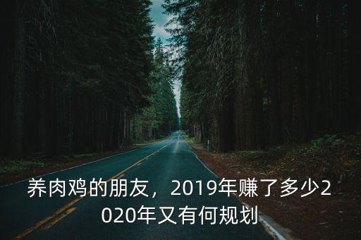養肉雞的朋友，2019年賺了多少2020年又有何規劃