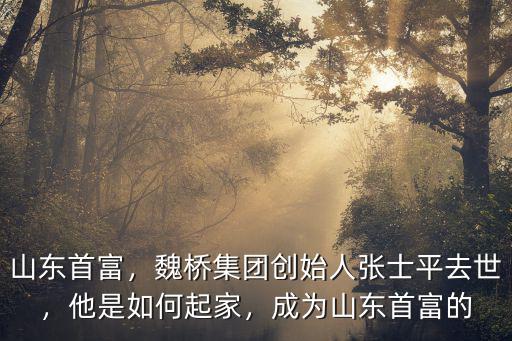 山東魏橋創業集團幼兒園多少錢,山東魏橋創業集團創始人