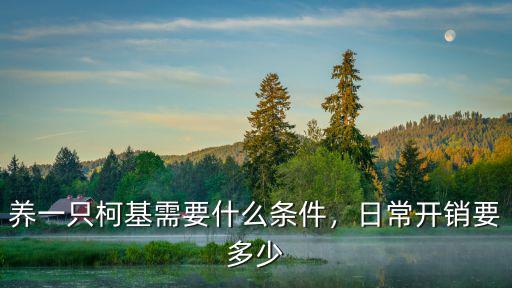 養(yǎng)一只柯基需要什么條件，日常開銷要多少