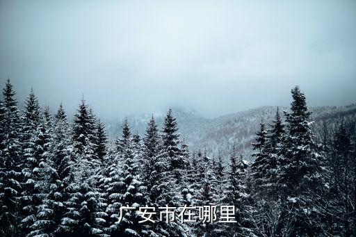 汕頭廣安市在哪里,汕頭是幾線城市