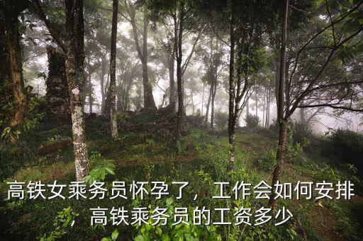 浙江高鐵乘務(wù)員工資多少,高鐵上的乘務(wù)員工資高嗎