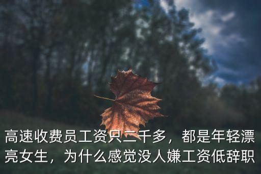 溫州高速收費員工資是多少錢一個月,高速收費員工資只二千多