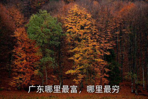 廣州富豪島在哪里,廣州的富人區在哪里
