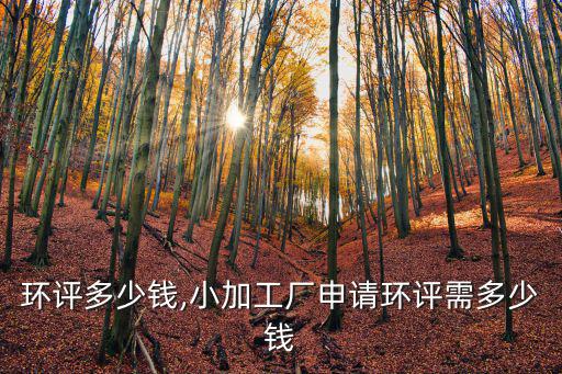 舟山環(huán)評多少錢,小加工廠申請環(huán)評需多少錢