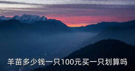 羊苗多少錢一只100元買一只劃算嗎