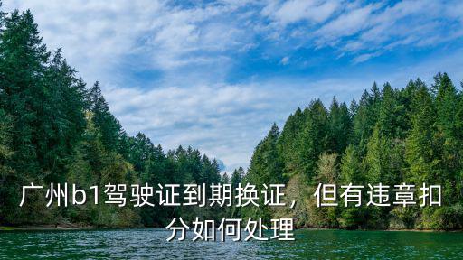 廣州駕駛證扣分罰單怎么處理,廣州b1駕駛證到期換證