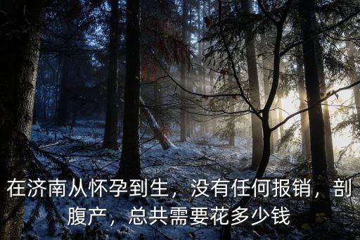 在濟南從懷孕到生，沒有任何報銷，剖腹產(chǎn)，總共需要花多少錢