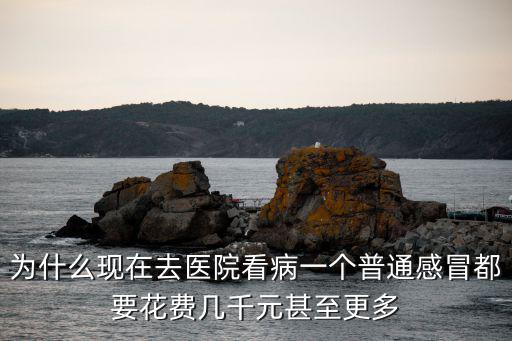為什么現在去醫院看病一個普通感冒都要花費幾千元甚至更多