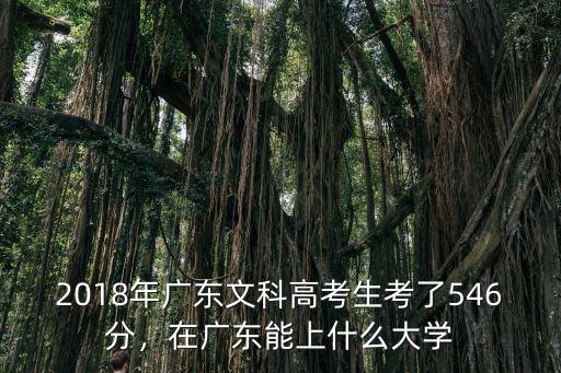 2018廣東高考文科二批多少分,2018廣東文科480分