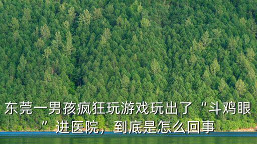 東莞選妃是怎么回事,到底是怎么回事