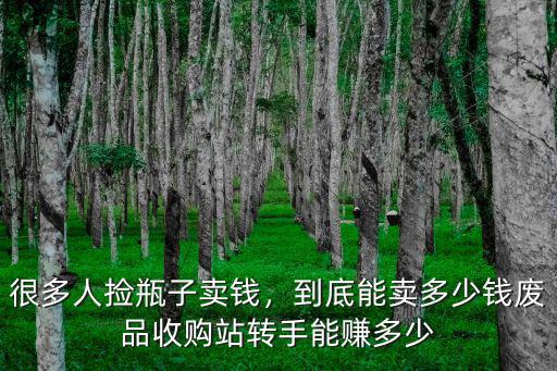 很多人撿瓶子賣錢，到底能賣多少錢廢品收購站轉手能賺多少