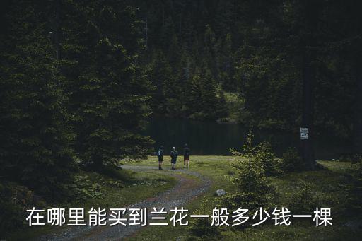 韶關哪里可以買到蘭花,在哪里能買到蘭花